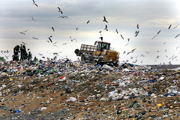 زباله؛ معضلی که محیط زیست استان اردبیل را تهدید می کند