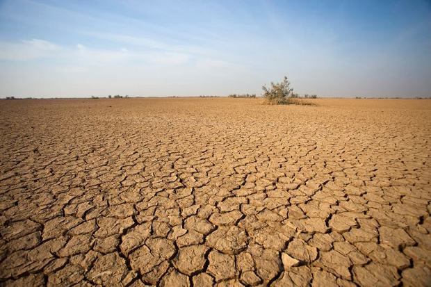 تغییر اقلیم 220هزار میلیارد ریال به بخش کشاورزی خسارت زد