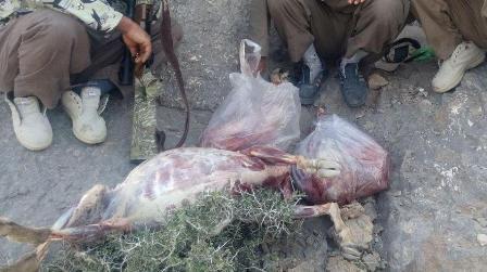 شکارچیان متخلف در ارتفاعات پارک ملی کلاه قاضی اصفهان دستگیر شدند