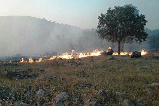 آتش سوزی به 20 هکتار از مراتع روستای پرمه چادگان خسارت وارد کرد