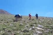 پیدا شدن جسد کوهنورد اهل پرو در دماوند