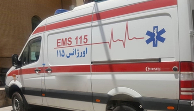 6 دستگاه آمبولانس به ناوگان اورژانس 115 بوشهر پیوست