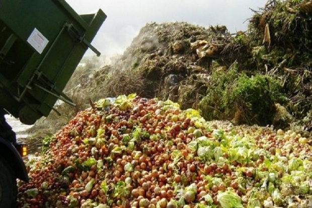 پسماند کشاورزی در آستارا به محل دفن زباله منتقل شود