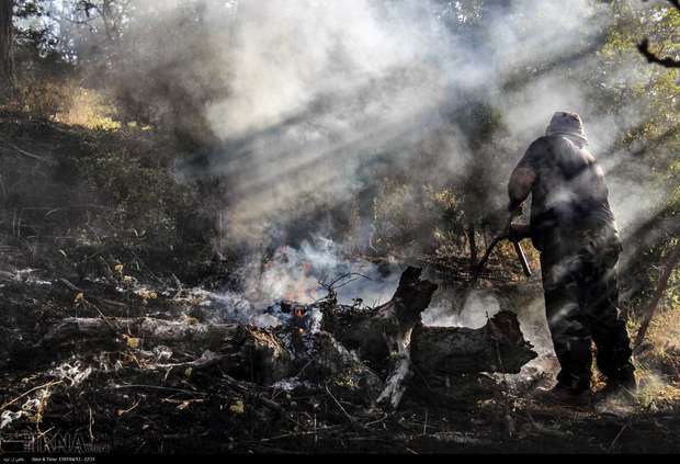 پرونده کیفری عاملان آتش سوزی جنگل های گلستان تشکیل می شود