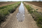 ظرفیت آب‌های نامتعارف در استان بوشهر مغفول مانده‌است