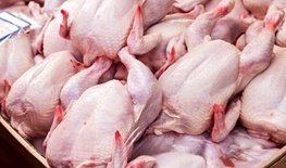 انواع گوشت سفید استان اردبیل به کشورهای همسایه صادر ‌می‌شود
