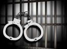 دستگیری 86 سارق در اسلام آبادغرب