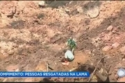 شمار ناپدیدشدگان شکستن سد پسماند معدنی در جنوب برزیل به 300 نفر رسید