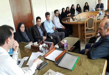 مرغوب ترین آرد لرستان از گندم سلسله تولید می شود