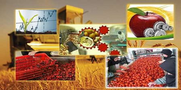 افزایش 25 درصدی تولید محصولات دامی و زراعی در آذربایجان شرقی