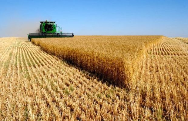 صندوق بیمه کشاورزی اعتماد کشاورزان ممسنی را جلب کند