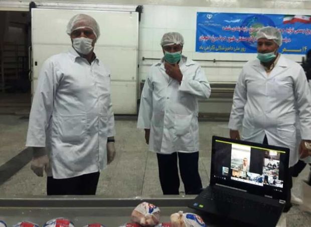 تولید و عرضه مرغ رتبه‌بندی در استان مرکزی آغاز شد