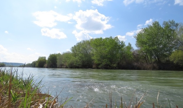 185 میلیون متر مکعب روان آب وارد رودخانه‌های بوشهر شد
