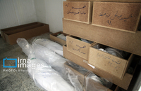 شناسایی شهدای دبستان میناب (41)