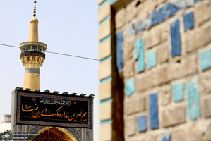 ظهر شهادت امام رضا (ع)