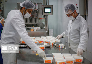 اشتغال آینده بیشتر بر مبنای هوش مصنوعی است