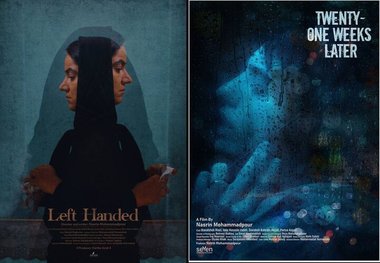 فیلمساز ایرانی از ۲ جشنواره جایزه گرفت
