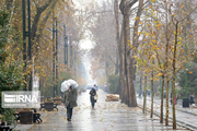 بارندگی‌ها در استان اردبیل ۹ درصد افزایش یافت