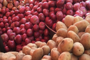 ممنوعیت صادرات پیاز و سیب زمینی برداشته شد