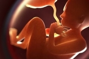 مقام وزارت بهداشت: بارداری در هیچ سنی خطر ندارد/ طبق تحقیقات آمریکایی‌ها نوزاد مادر زیر 18 سال نوزاد طلایی است