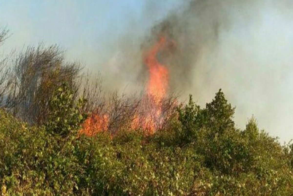 آتش سوزی جنگل ارسباران عمدی بوده است