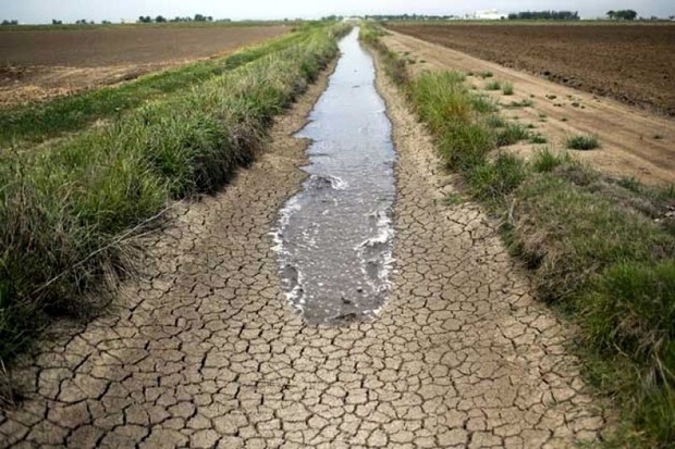 11گروه بر رهاسازی آب کشاورزی برای شادگان نظارت می کنند