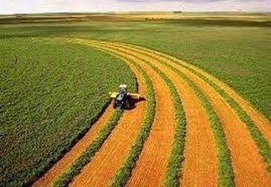 جهاد کشاورزی زنجان حائز رتبه دوم کشوری شد
