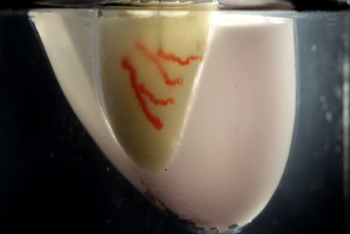 رگهای خونی با کمک پرینتر سه بعدی در بافت های زنده چاپ شد