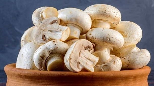 فواید قارچ برای قلب

