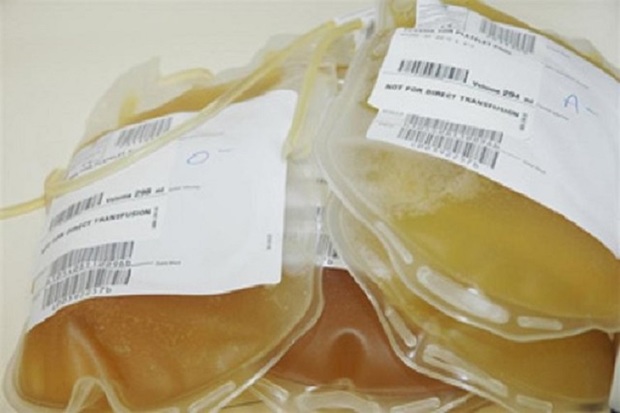 صادرات 3000 واحد پلاسمای خونی از خراسان شمالی