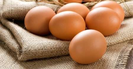 9.6 درصد تخم مرغ کشور در البرز تولید می شود