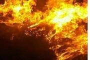 آتش سوزی در مزارع و باغ های طارم سفلی