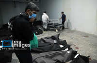 شناسایی شهدای دبستان میناب (6)