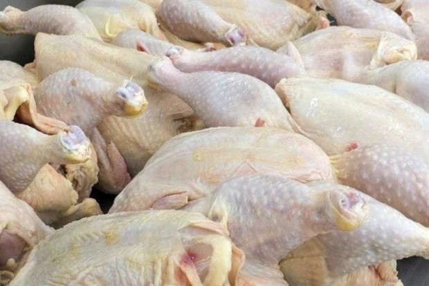 9 تن مرغ احتکار شده از یک کشتارگاه در زرند کشف شد
