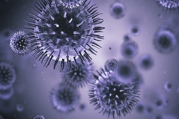 هیچ موردی از وجود ویروس کرونا در شادگان مشاهده نشده است