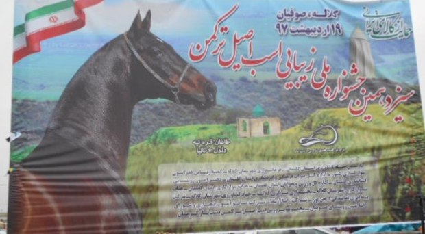 سیزدهمین جشنواره ملی زیبایی اسب ترکمن برگزار شد