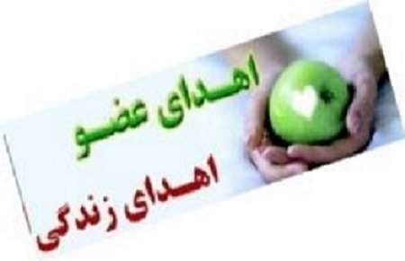 3 عضو بیمار بوشهری به نیازمندان اهدا شد