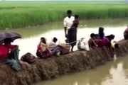  هزاران نفر از مسلمانان روهینگیا و از دست دادن خانه هایشان