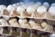 کشف ۵ هزار و ۲۶۵ کیلوگرم تخم‌مرغ فاقدمجوز توزیع در الیگودرز