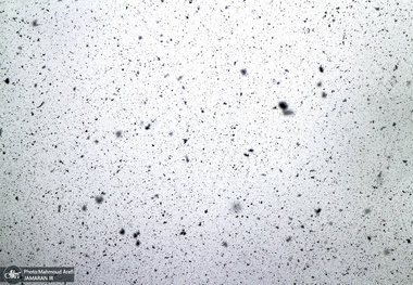 برکناری تعدادی از مدیران شهرداری تهران به دلیل سهل‌انگاری در برف‌روبی 15 دی