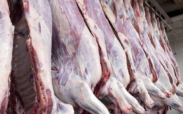 احتمال انحراف در توزیع گوشت یارانه ای در بازار وجود دارد