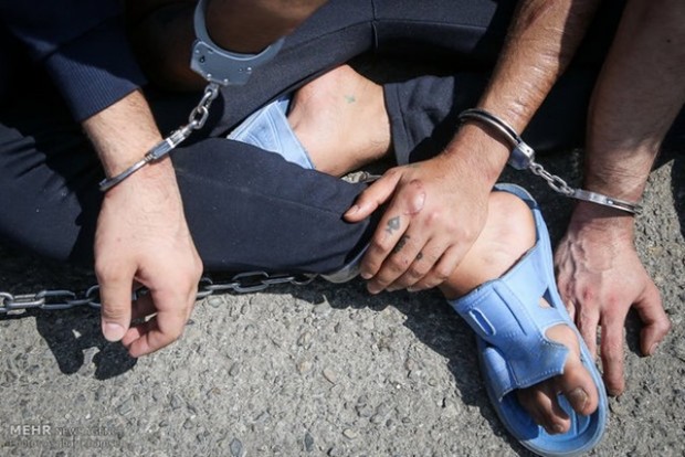 2 سارق با 41 فقره سرقت دستگیر شدند