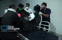 شناسایی شهدای دبستان میناب (9)