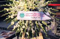 مراسم دومین سالگرد شهادت جانباختگان سانحه هواپیمای اوکراینی در آستان امامزاده صالح(ع)