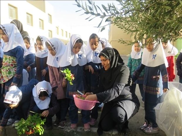 ۹۰ طرح خوداتکایی در مدارس شبانه‌روزی کردستان فعال است