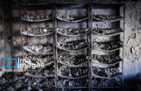 تخریب و آتش‌سوزی اموال شخصی و عمومی در تهران (59)