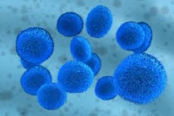 درمانی جدید علیه بیماری سرطان
