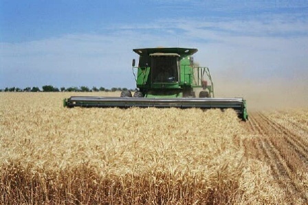 کاهش میزان برداشت گندم و جو از اراضی کشاورزی شهرستان ایوان