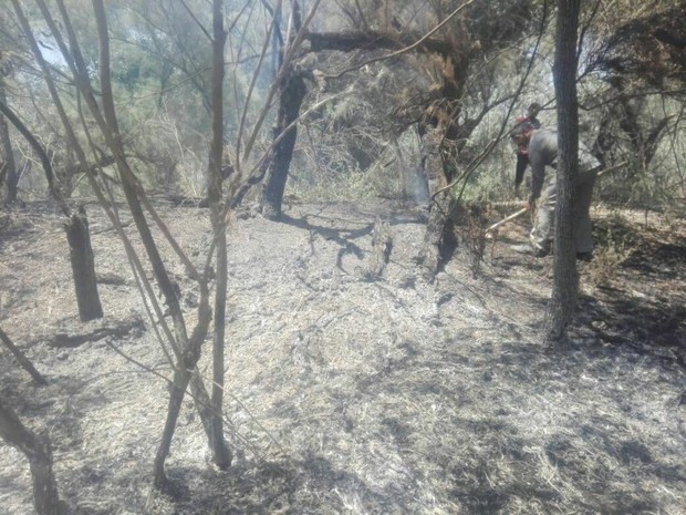 پارک ملی کرخه در شوش آتش گرفت