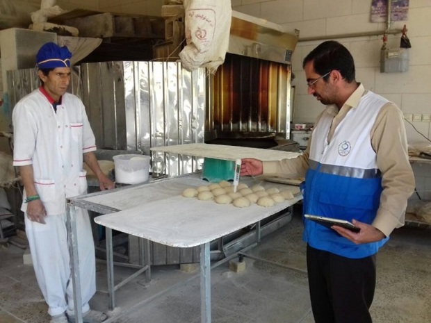 227 پرونده برای نانوایان متخلف در کامیاران تشکیل شد